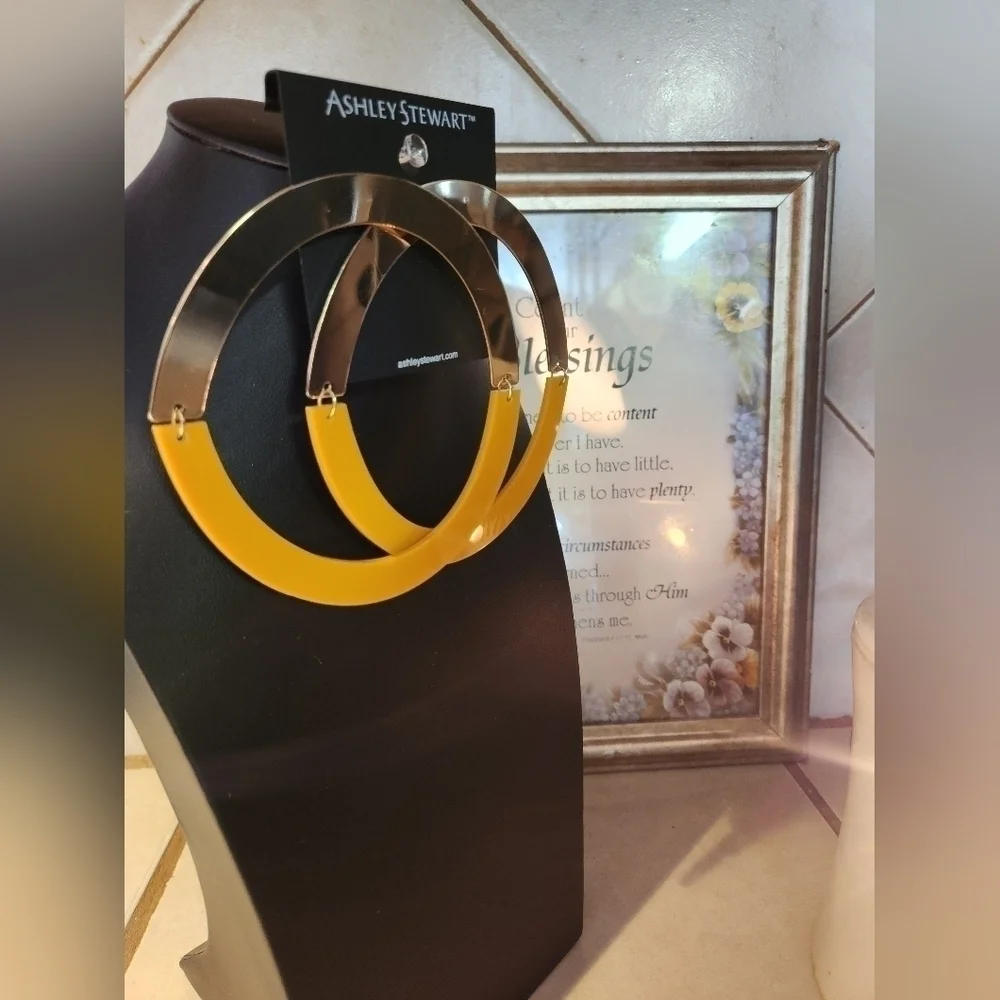 Large post back hoops! They fold for storage. - Picture 3 of 6